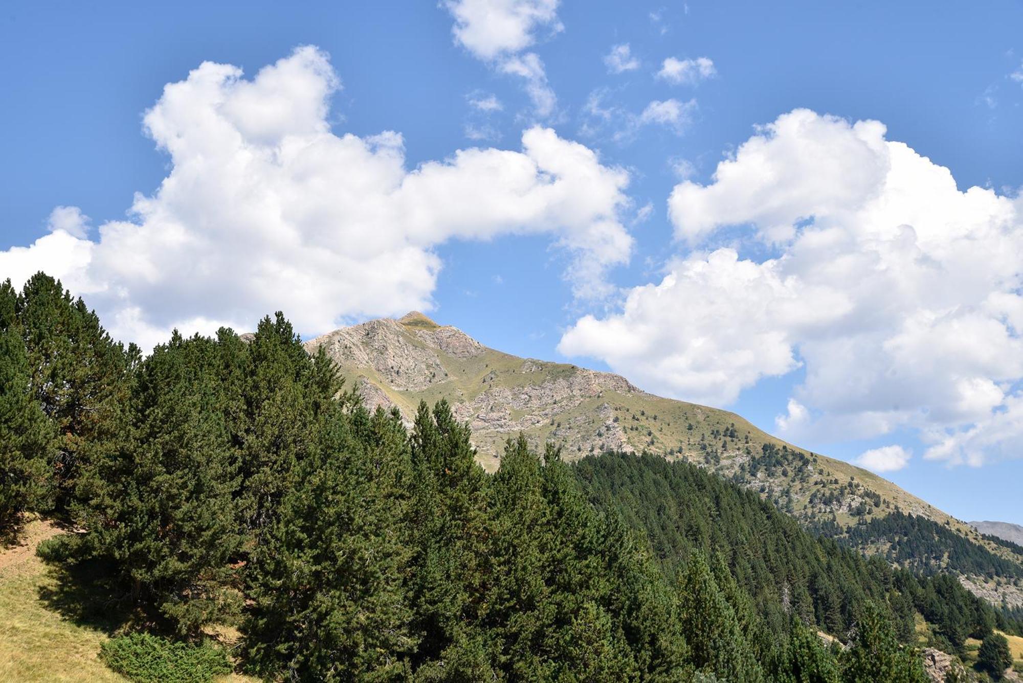 Nh Collection Andorra Palome Hotel Erts Bagian luar foto
